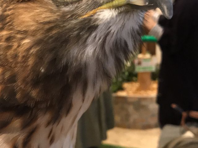 �����������ł��B_�t�N���E�̂���