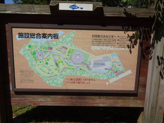 �ē���_�����Ȍ���