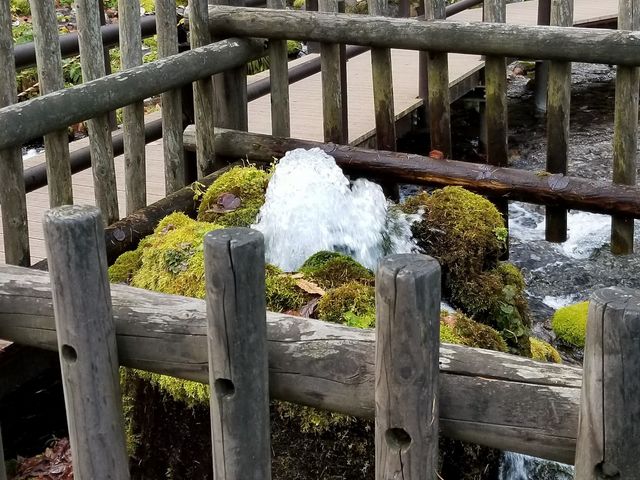 �N�����ł�_�ӂ���������