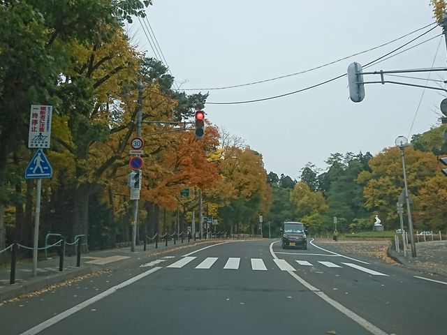 ���̖����ł����A�g�t���Y��ł��B_�~�R����