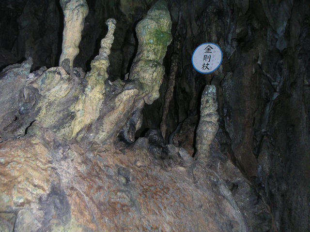 �ߓ����̒�_�����ߓ���