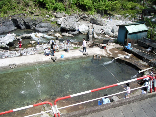 �}�X�ނ��_�����ߓ���