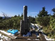 mama񂳂̉Ëx̓eʐ^3