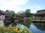 Ђ낳̔E씪Cr{̓eʐ^2