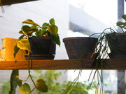 ̃JtF _u cafe double LcX̓eʐ^1