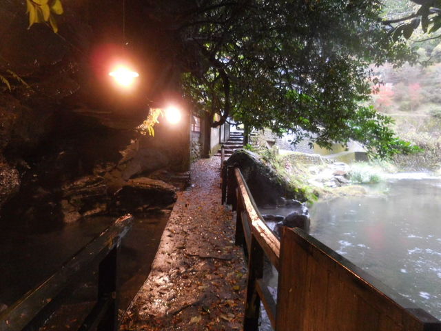 �I�V���C_�Ǔ�����