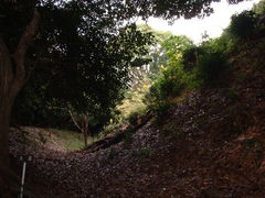 Ԃ񂳂̏RՂւ̓eʐ^2