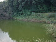 Ԃ񂳂̃rmN}Õ̓eʐ^1