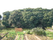 Ԃ񂳂̃rmN}Õ̓eʐ^2