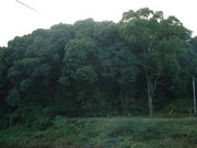 Ԃ񂳂̃rmN}Õ̓eʐ^3