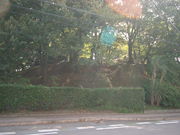 Ԃ񂳂̐ΒˎRÕ̓eʐ^1