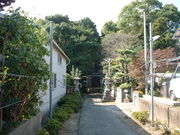 Ԃ񂳂̌䏊RÕ̓eʐ^1