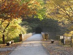 higekuma50̃Avg̓ւ̓eʐ^1