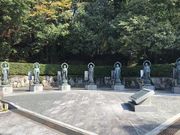 {u̓RԎR@񎛁iԎR@j̓eʐ^1