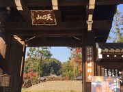 ̐_ Tƒ̃~[WA̓eʐ^1