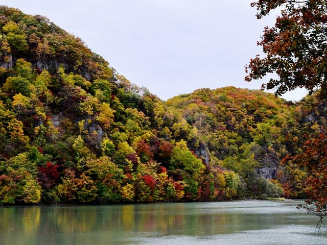 ��������΂̍g�t�͂������艷�򂩂�U�􂵂Ȃ���y���߂�_���h�������艷�򃌃C�N�C��