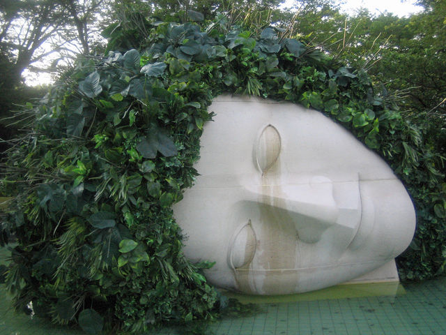 �傫�Ȋ�_�����̐X���p��