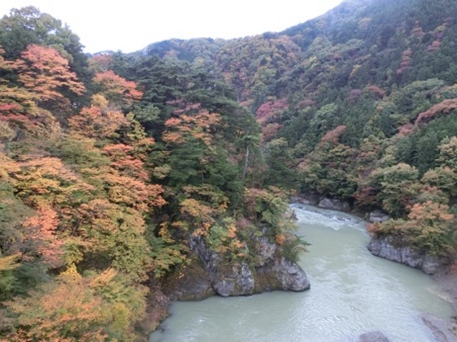 �|�⋴����̒��߇A_�|�⋴