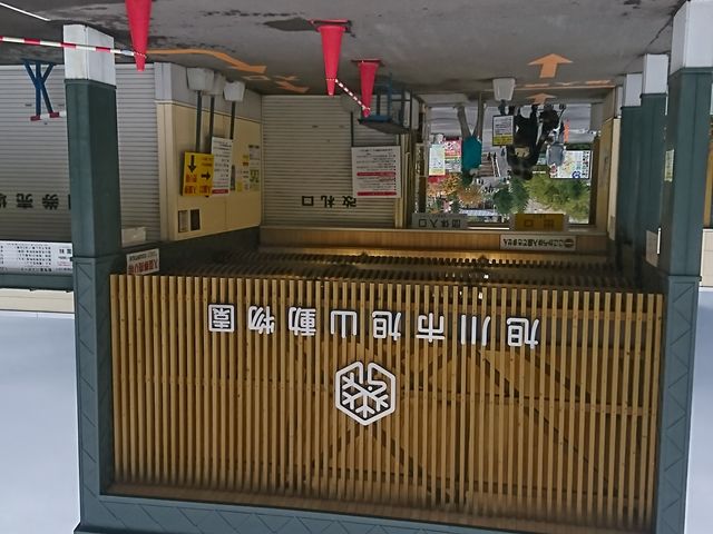 �����o����_���R������