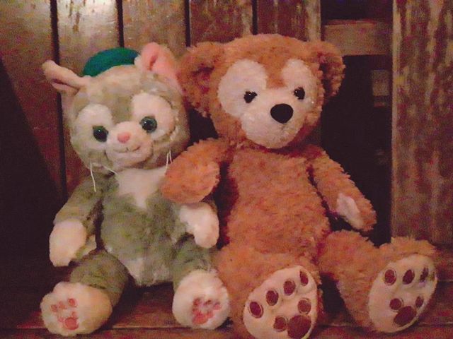 �_�b�t�B�`�`_�����f�B�Y�j�[�V�[(R)