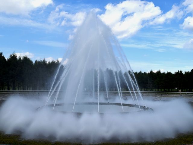 ���G�����������̊C�̕���_���G��������