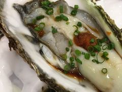 poporon̂Ђ傤iւ̓eʐ^1