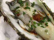 poporon̂Ђ傤i̓eʐ^1