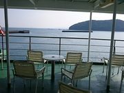 �X�k�v����̑��萣�˂̓��e�ʐ^1