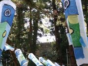 Ȃ̐{_Ёȋ卑܁j̓eʐ^1