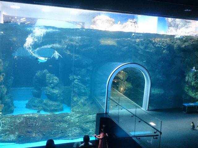 �V���[�͏����c�O�ŎB�e���ĂȂ��̂Ŋٓ��̎ʐ^���B_���֎s�������̂��������فE�C����