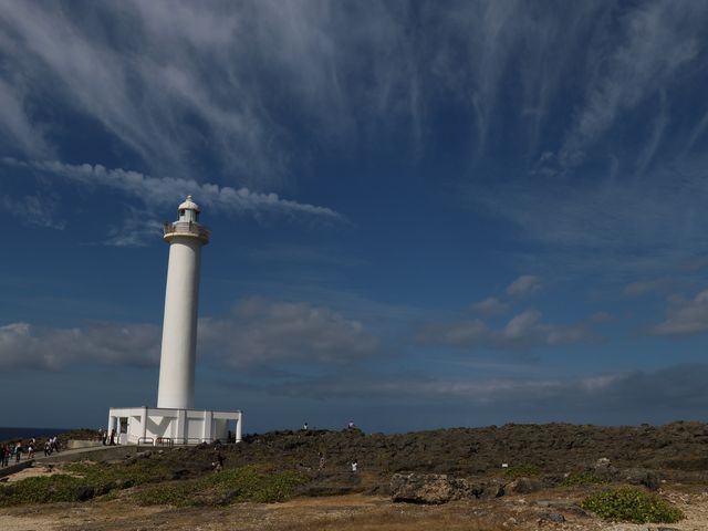 �c�g������_�c�g������