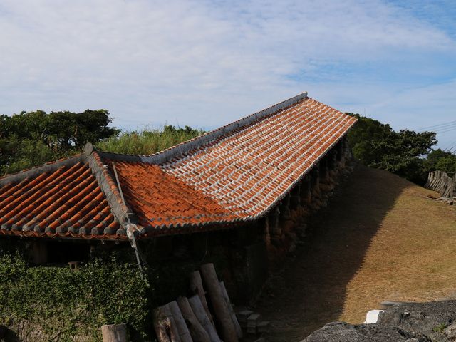 �o��q_�₿�ނ�̗�