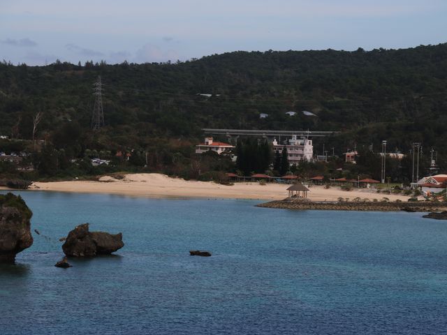 �v�w��ƃi�r�[�r�[�`_������