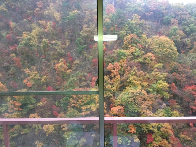 ����������R���߂�_��쑑