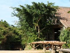 E102̂₿ނ̗ւ̓eʐ^1