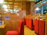 usa菊 R_X CI_X̓eʐ^1