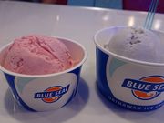 E102BLUE SEAL q`{X̓eʐ^2