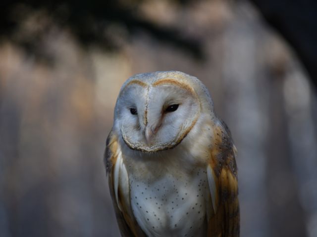 ӂ낤͊FAƂȂł_][gr̕t@~[h