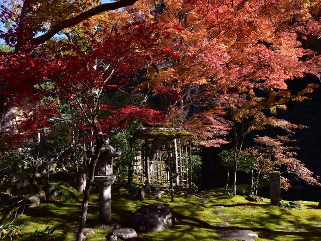 �����T��(�g�t)_�����T���Ă�����