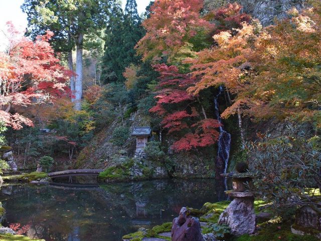 �����T��(�g�t)_�����T���Ă�����