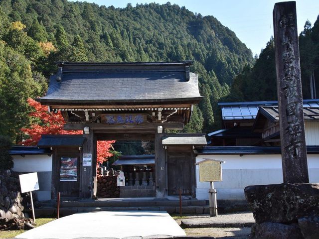 �S�� �����T��_�����T���Ă�����