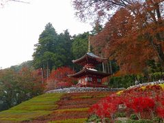 勝尾寺の写真一覧 じゃらんnet