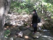 `[k񂁂KXp[񂳂̐{skRΉA̓eʐ^1