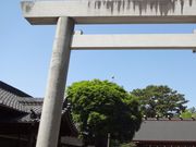 ݂ǂ̈v_ː_Ђ̓eʐ^1