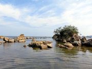 XV[45̖菼CELv̓eʐ^1