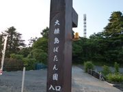 g\̑卪ڂ䉖򉀂̓eʐ^1