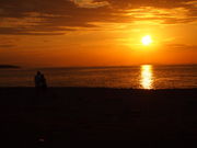 �˂�����񂳂�̌c�쏼���̓��e�ʐ^1