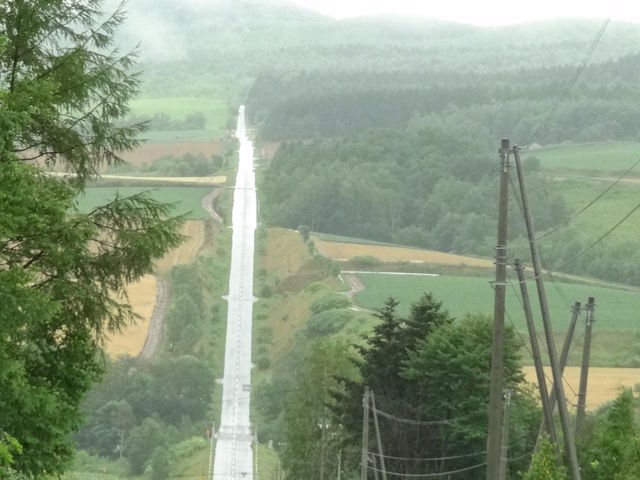 �i��_�W�F�b�g�R�[�X�^�[�̘H