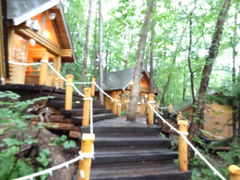 ܂̃VbsO[hujOeXvւ̓eʐ^1