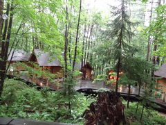 ܂̃VbsO[hujOeXvւ̓eʐ^3